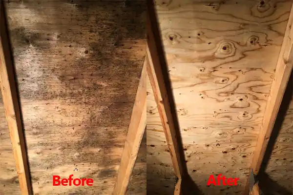 water damage restoration service Tutwiler